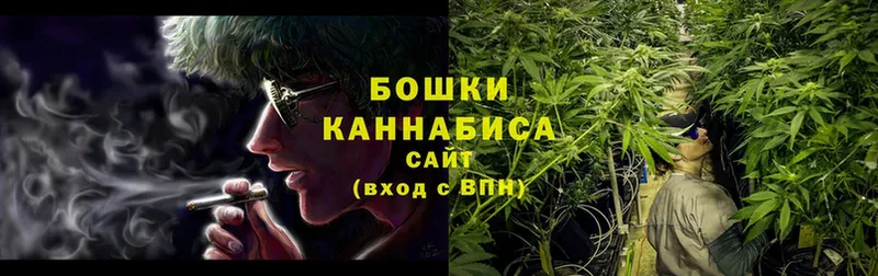 Бошки Шишки OG Kush  Аргун 